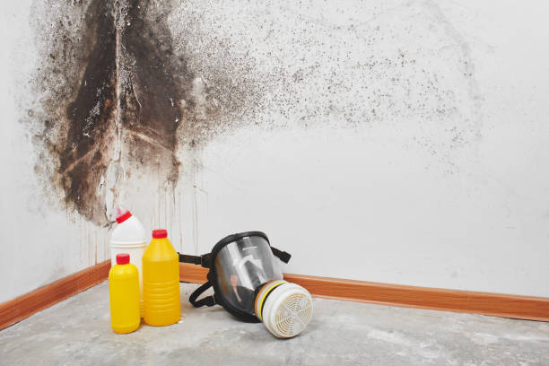Best Crawl Space Mold Removal  in Belle Meade, TN