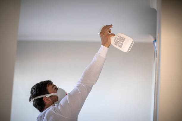 Best Commercial Mold Removal  in Belle Meade, TN