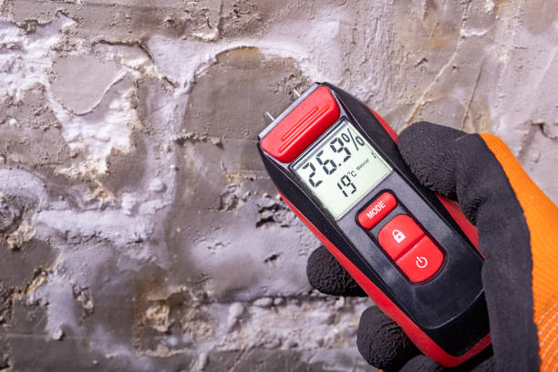 Best Water Damage Restoration  in Belle Meade, TN